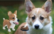 KLOCKI-ZESTAW-MODEL-PSA-PIES-SUPER-CORGI-1380szt-ELEMENTOW-DOG-CORGI-EAN-GTIN-5905999095318.jpg