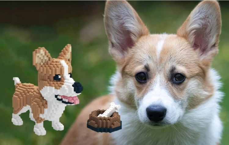 KLOCKI-ZESTAW-MODEL-PSA-PIES-SUPER-CORGI-1380szt-ELEMENTOW-DOG-CORGI-EAN-GTIN-5905999095318.jpg